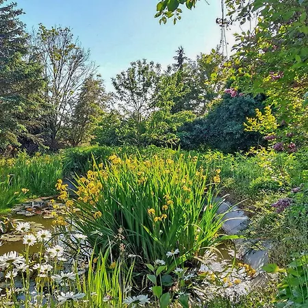 Klocksin Lejlighed *